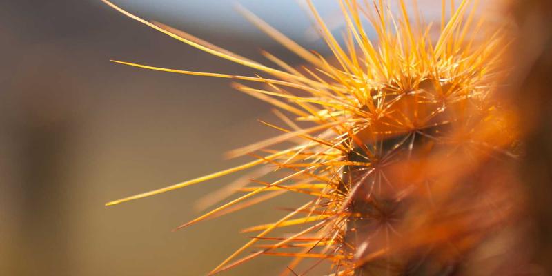 化繁为简，悦享生活：双利家居现代简约客厅搭配全攻略