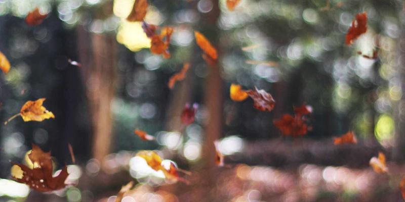 双利家居63：用简约美学与生活百货，重塑你的日常质感