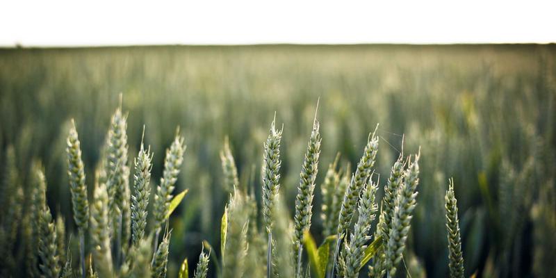 双利家居布艺沙发清洁保养全攻略:打造简约家居的持久美学