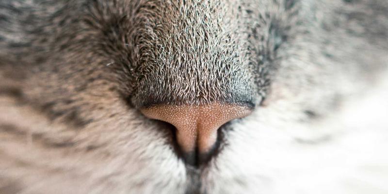 双利家居揭秘：床垫硬度选不对，厨房好物也难救你的睡眠！