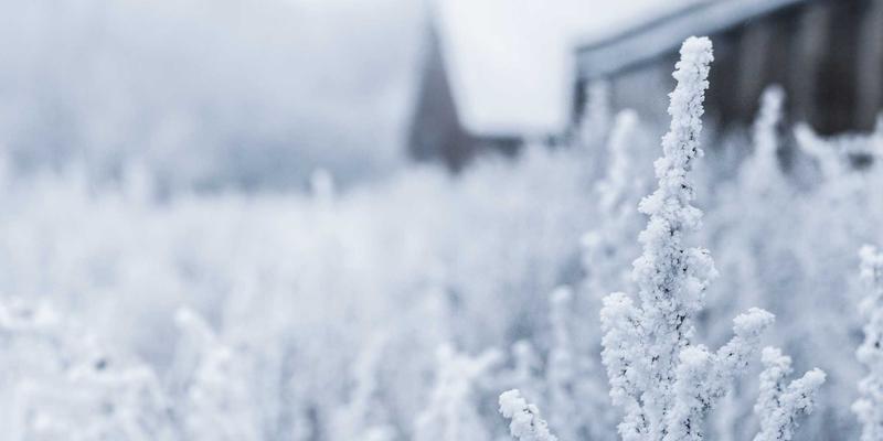 双利家居生活美学：从家具到百货，打造理想家居空间的完整指南